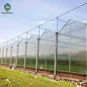 Wholesale 120km/H Multi Span Polycarbonate Greenhouse With Irrigation System from china suppliers