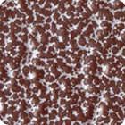 Garden Facilities Metallic Powder Coat With White Copper Shining Metal Effect