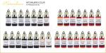 Fast Coloring Semi Permanent Makeup Pigments Liquid Tattoo Ink Pigment