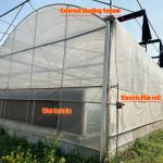 Agricultural Tunnel Greenhouse Plastic Film Multi-span Strawberry Greenhouse for