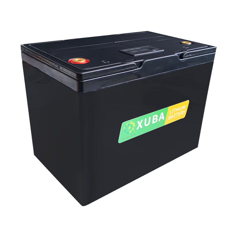 Car Auto Starter Lithium Ion Battery Packs 12v 60ah 1000 CCA