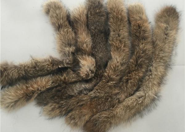 Quality Coat Genuine Large Raccoon Fur Collar Warm Soft With Natural Brown Color for sale