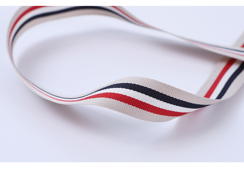 Decorative Polyester Seatbelt Webbing 2cm Poly Cotton Webbing