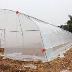 Agriculture Plants Growing Steel Frame Single Span PE Film Greenhouse For
