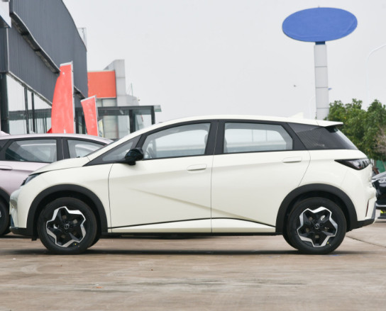 Byd Dolphin 2023 420KM Free Version Small Car Electric 5 Door 5 Seat Hatchback