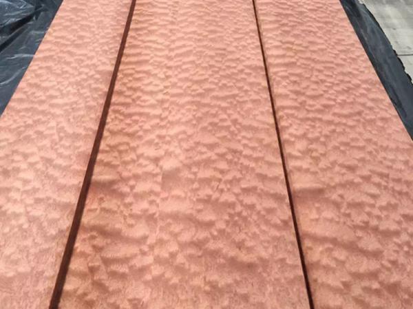 0.6mm Sliced Sapelli Sapele Pommele Natural Wood Veneer for Furniture Plywood