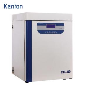 Wholesale Tissue Culture CO2 Incubator 110V 220V Carbon Dioxide Incubator CE For Medical Lab from china suppliers