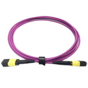 Wholesale OFNP MPO Patch Cable from china suppliers