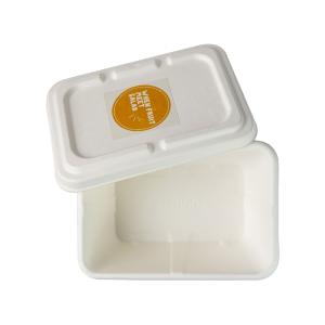 China Biodegradable Embossing Sugarcane Bagasse Food Container Microwavable Disposable on sale