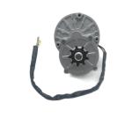 Load Speed 3000rpm E Bike Dc Motor 24v Dc Motor 250w