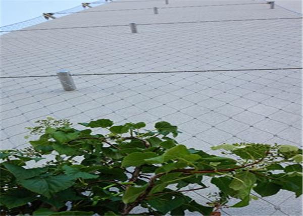 Rust Protection Stainless Steel Cable Trellis , Stainless Steel Wire Mesh