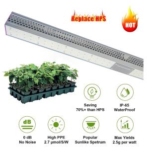 Wholesale 640W Red Greenhouse LED Grow Lights Customized Full Spectrum 660nm from china suppliers