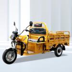Cargo Tricycle 1000w 12000w 1500w Electric Adult Motorcycle Blue 3 Wheels CCC