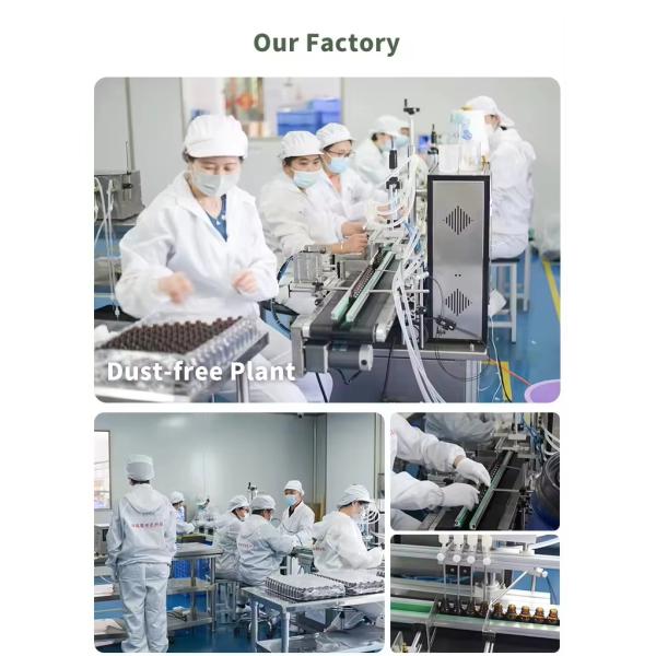 50ml Kids Mini Lasting Light Fragrance Body Spray Perfume for Students Baby Bear Girl with Peach Mini Perfumes Original