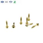 Custom M4 Carbon Steel Yellow Zinc Phillips Hexagon Flange Head Dog Tail Screws