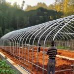 Plastic Tunnel Strawberries Agricultural Farm Tunnel Plastic Greenhouse With