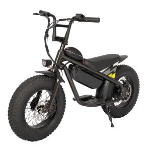 Wholesale Children's Electric Bicycle 250W Motor Dirt Bike EU House Motorcycle E-bike 13Ah Battery from china suppliers