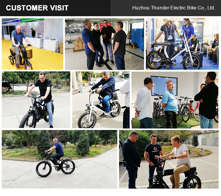 48V 17Ah 7 Speed Electric Fat Tire Bike 750W 26 Inch Electric Mountain Bike For Adults
