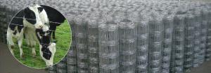 Wholesale Galvanized Steel Wire Mesh Fence Animal 72 inch field fence Zoo Wild Fencing Roll from china suppliers