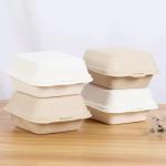 Cake Food Container Paper Box Compartment Clamshell Sugarcane Lunch Box