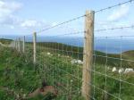 In Stock Livestock Knot Field Cattle Fence Pig Fence Proof Fencing for sale
