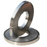 ASTM AISI 316L 304 309s Stainless Steel Strips Cold Rolled