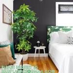 Artificial Trees Tall Faux Money Tree Big Fake Floor Plants Silk Trees Indoor