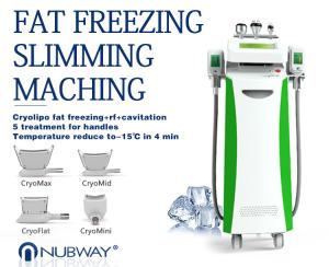 China Amazing result 5 handles multifunction fat freezing cryolipolysis fast fat cavitation slimming system & equipment on sale