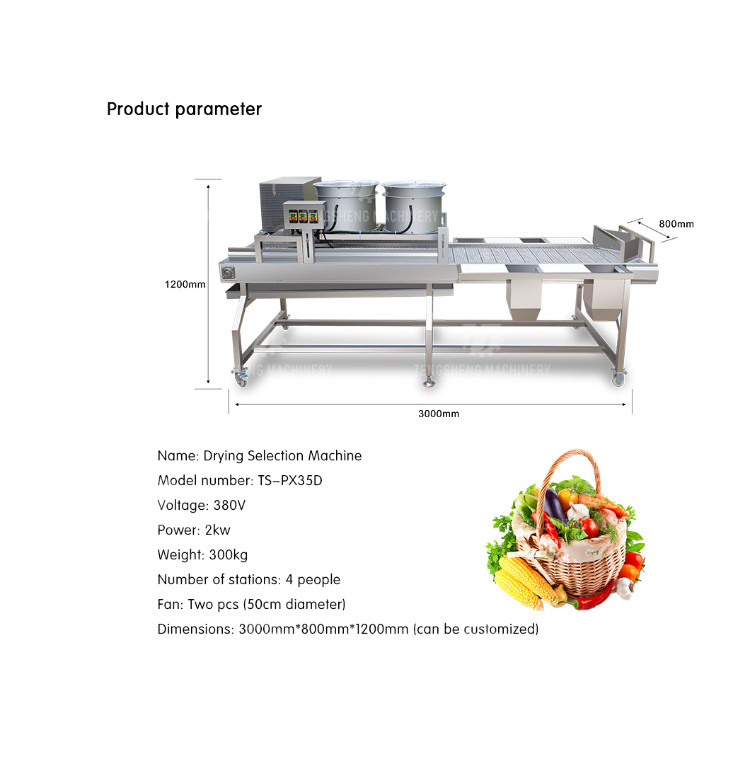 2KW Vegetable Processing Machine Stainless Steel Fruit Drying Selection Machine