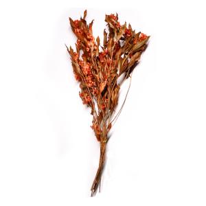 Wholesale Natural Green Preserved Eucalyptus Leaves Real Touch Feel &amp; Eco Friendly from china suppliers