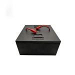 Lithium Ion 24V 100Ah Personalised Battery Pack For AGV Car