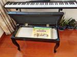 Wholesaler price NUX high end leather wooden openable pianoWholesale matching