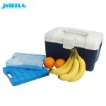 1000 G Blue Freezer Ice Blocks Easy Operation Fit For Launch Bag And Cooler Bag