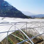 Gotica Personalizzata 150 Micron Pe Film Strawberry Growing Greenhouse Gothic