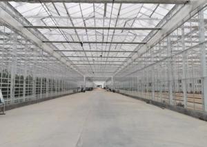 Wholesale Green Plant Garden Tempered Glass Greenhouse For Large Ornamental Flowers from china suppliers