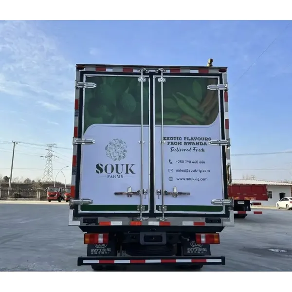 Affordable Used 4X2 Cold Storage Truck From Japan