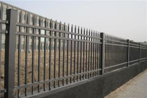 Wholesale 50X50mm Picket Top Tubular Steel Fence Black Or Customize from china suppliers