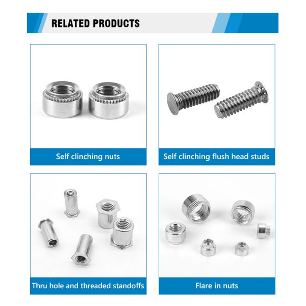 100% Inspection Before Shipment DIN934 M6 Stainless Steel Hex Nuts for Food Beverage Industry Efficiency