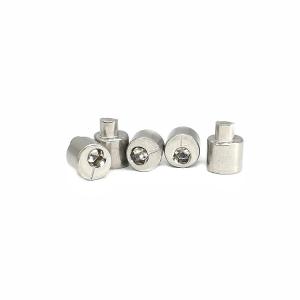Wholesale Rear Axle Eccentric Adjusting Stainless Steel Screw 4.9X10.5 Polished SUS304 from china suppliers