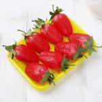 PET Colorful Disposable Plastic 25*18*2.5cm Fruit Packing Tray