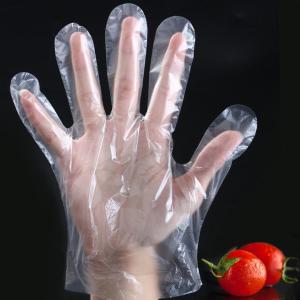 Wholesale PE Disposable Cooking Gloves / Food Grade Powder Free Vinyl Gloves from china suppliers