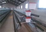 2.15*2.3*1.9 Size Chicken Battery Cage Poultry Farming , 3-5 Layers Chicken Farm