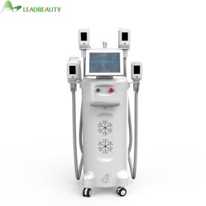 Wholesale freeze fat cryolipolysis slimming machine cryolipolysi fat freezing weight loss from china suppliers