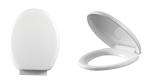 European novelty design soft close toilet seat cover PP or UF material from