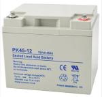 Deep Cycle Sealed Lead Acid Battery12v - 45ah 13.8kg Full Charged Battery