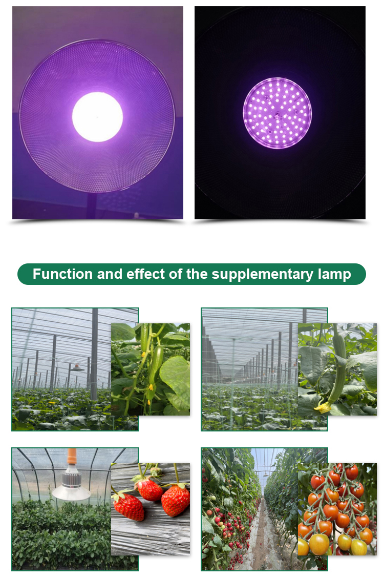 Greenhouse Planting 36W/50W Full Spectrum LED Grow Light with High Luminous Efficiency