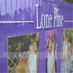 320g Custom Outdoor Mesh Banners Semi - Transparent Full Color Printing