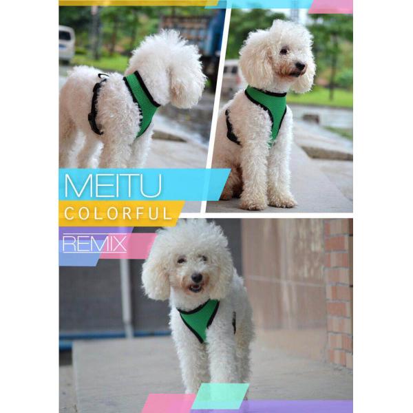 Reusable Lovely Soft Mesh Dog Harness Leash With Polyester Or Nylon Material