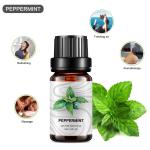 OEM Bulk Peppermint Essential Oil 10ml 100% Natural Peppermint Oil Diffusion