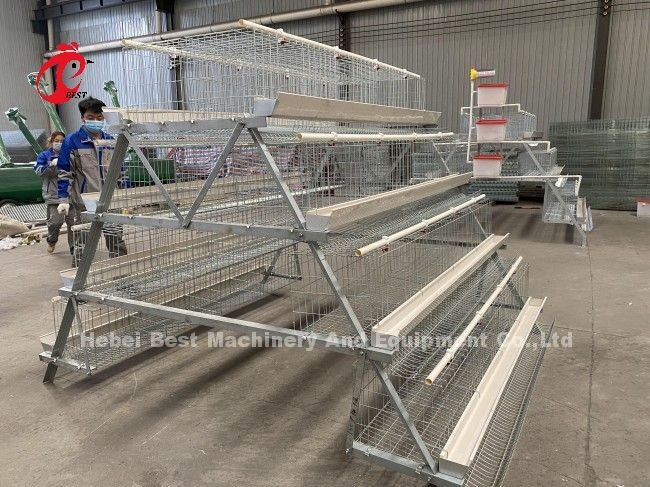 Galvanized Steel Layer Chicken Cage System Sandy